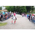 IMG 9977