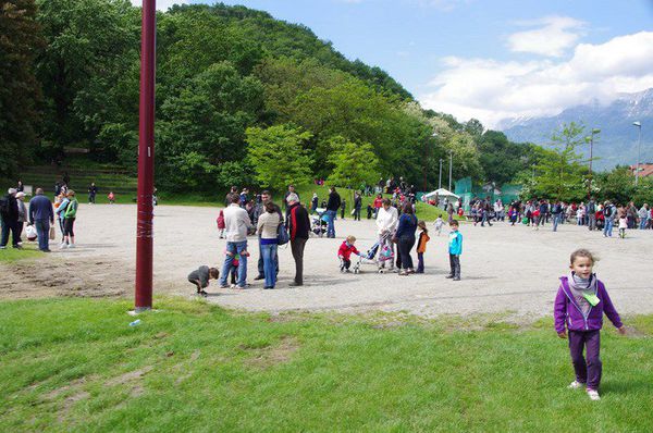 IMGP2236