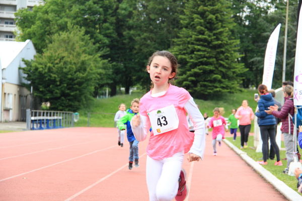 IMG 5037