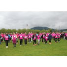 IMG 4731